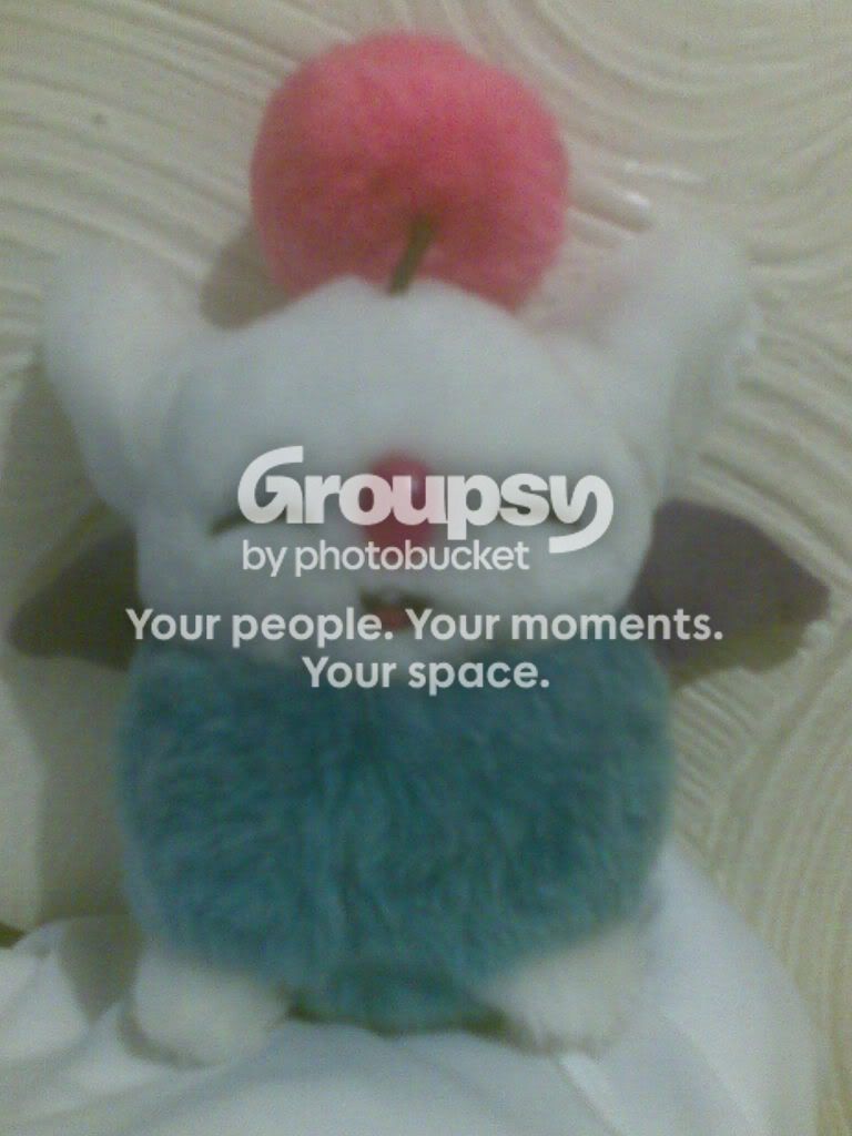User Image